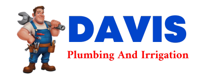 Trusted plumber in BEASLEY